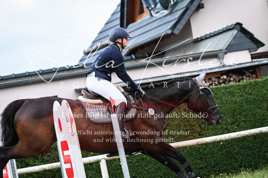 DSC_8133 | Pferde- und Turnierfotografie in Westsachsen. Pferdeportraits, Auftragszeichnungen und intuitive Kunst.