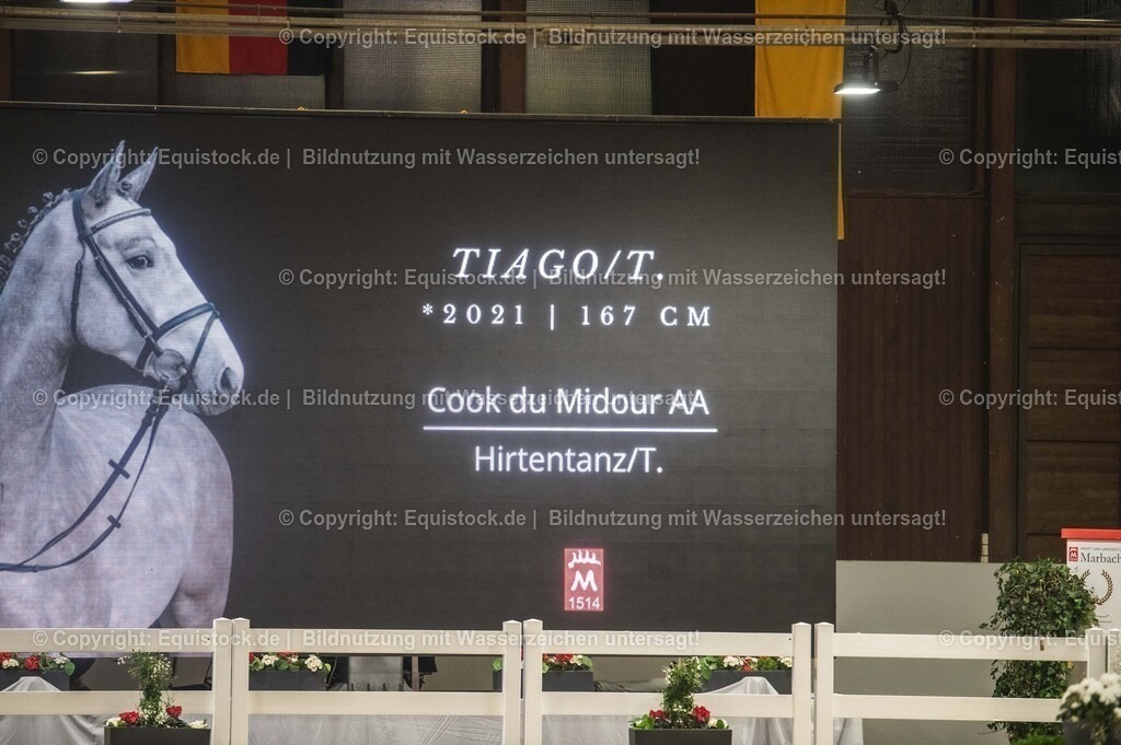 20240302_Hengstvorstellung_Marbach_TOMsPiC_0962 | equistock