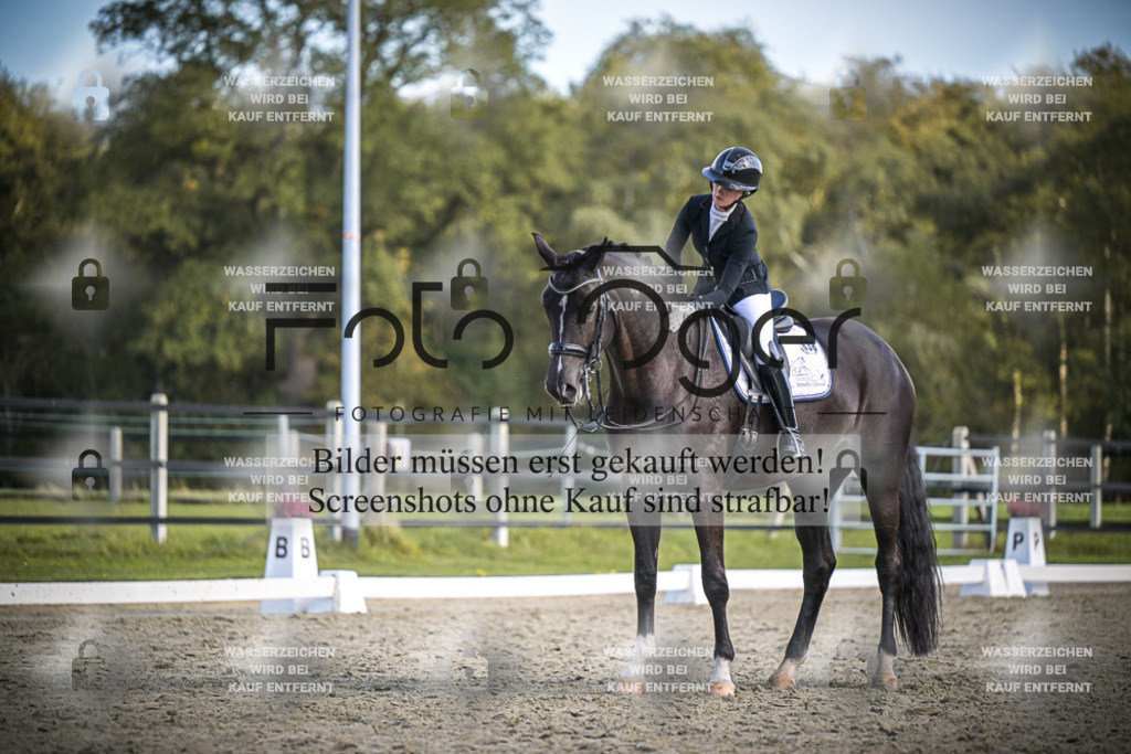 DOS_4413 | Entdecke hochwertige Reitturnierfotos von Foto Oger. Professionell, emotional und authentisch – jetzt Lieblingsmomente im Shop bestellen.Deutschlandweite Turnierfotografie. - Realisiert mit Pictrs.com