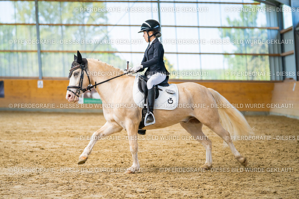 DSC07410 | Pferdegrafie