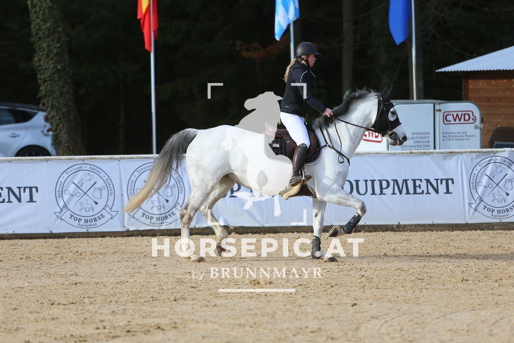 DL2Q3539 | Willkommen bei Brunnmayr - Design & Fotografie – Ihrem Spezialisten für Reitturniere und Pferdeveranstaltungen in Oberösterreich, Salzburg und Bayern! Seit über 17 Jahren sind wir leidenschaftlich dabei.