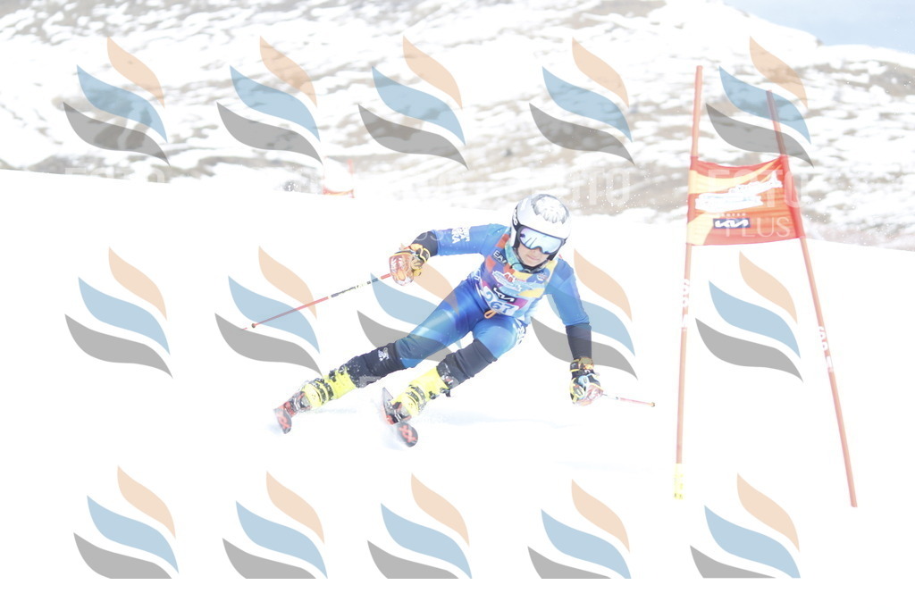 _U3G2980 | holidayphoto