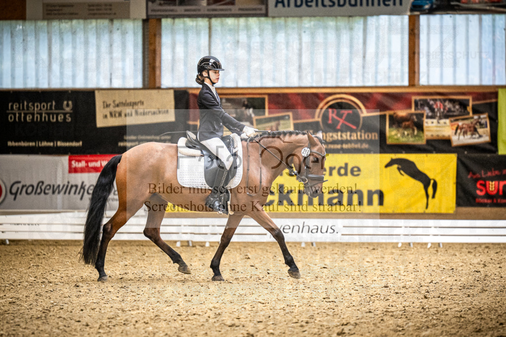 DOS_4388 | Entdecke hochwertige Reitturnierfotos von Foto Oger. Professionell, emotional und authentisch – jetzt Lieblingsmomente im Shop bestellen.Deutschlandweite Turnierfotografie. - Realisiert mit Pictrs.com