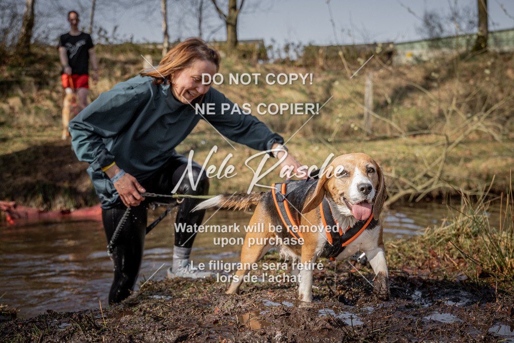 nelerasche_FS1330-1400_390 | nelerasche