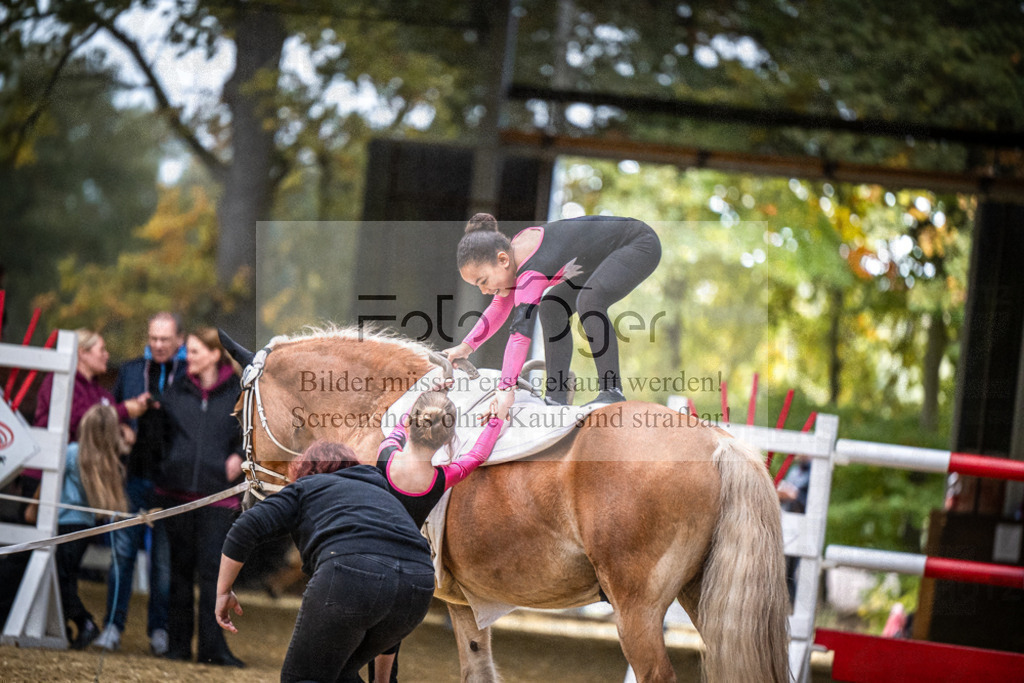 DOS_0260 | Entdecke hochwertige Reitturnierfotos von Foto Oger. Professionell, emotional und authentisch – jetzt Lieblingsmomente im Shop bestellen.Deutschlandweite Turnierfotografie. - Realisiert mit Pictrs.com