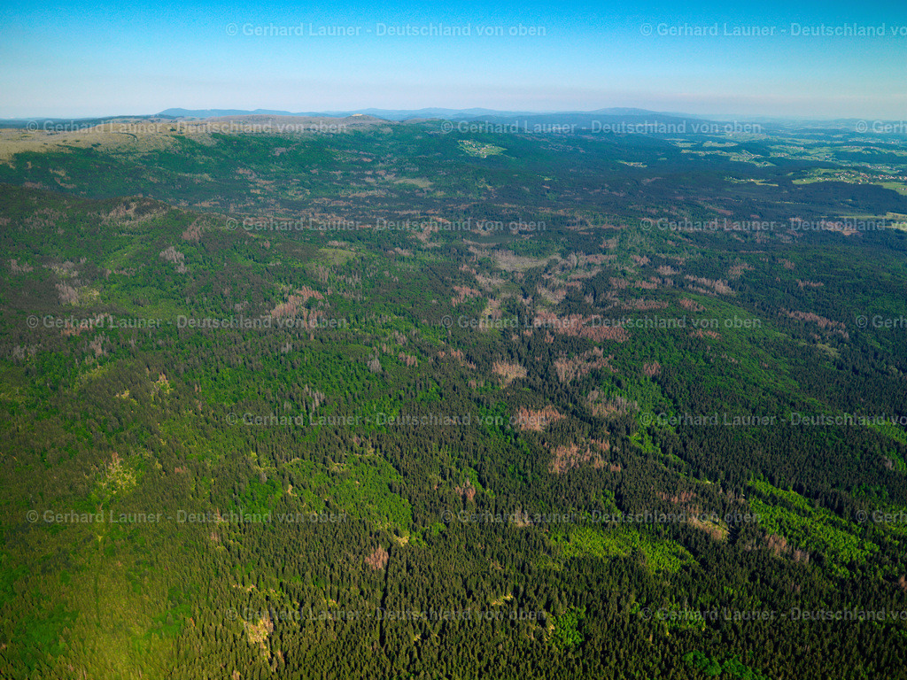 2724472 | Großer Rachel, Nationalpark Bayerischer Wald