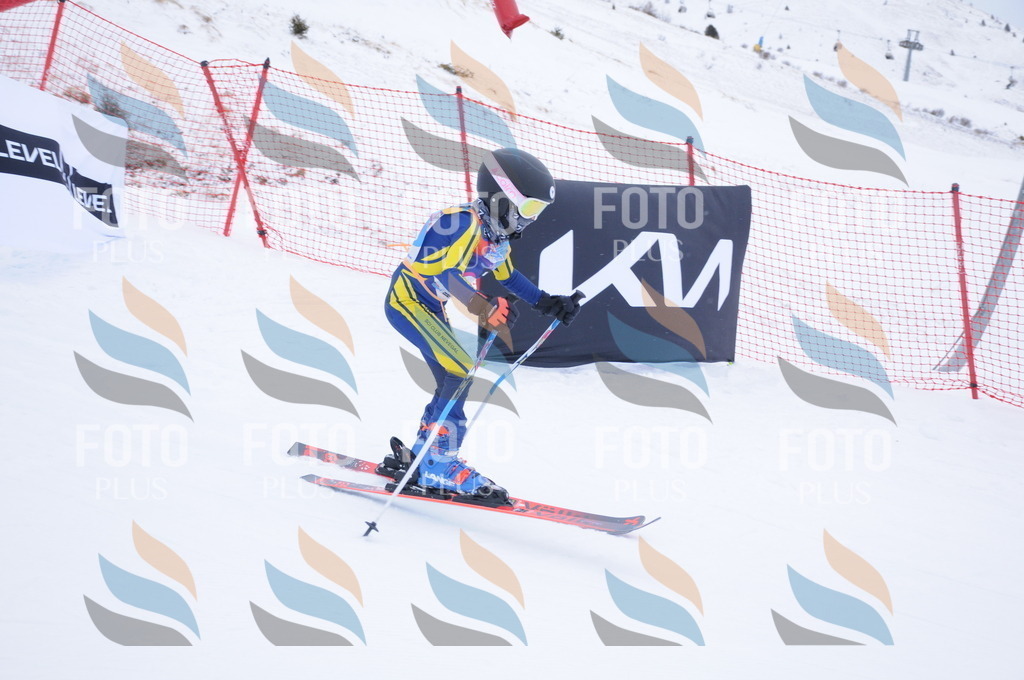 DSC_7873 | holidayphoto