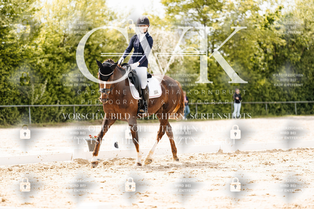 CK902121 | Turnierfotografie Pferdefotografie Trier Rheinland-Pfalz Pferdesport Reitsport Tierfotografie Sportfotografie Pferdevideo Pferdevideografie Equestrianvideography equestrianphotography  - Realisiert mit Pictrs.com
