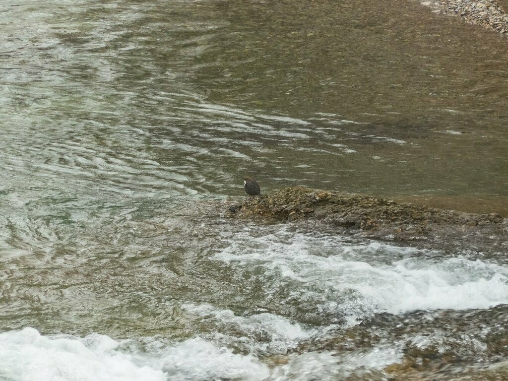 PSX_20230303_232306 | mtkfoto_ - Realisiert mit Pictrs.com