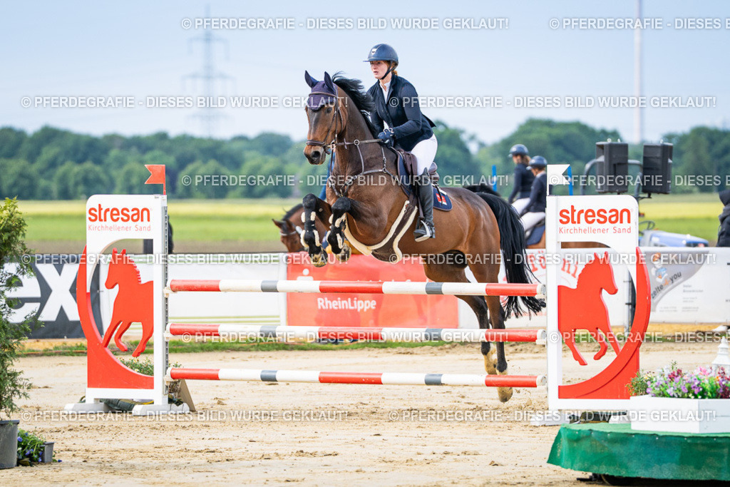 DSC03563 | Pferdegrafie