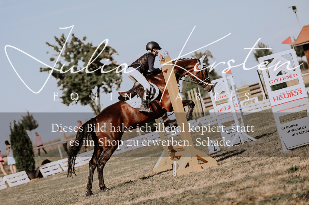 DSC_9403 | Pferde- und Turnierfotografie in Westsachsen. Pferdeportraits, Auftragszeichnungen und intuitive Kunst.