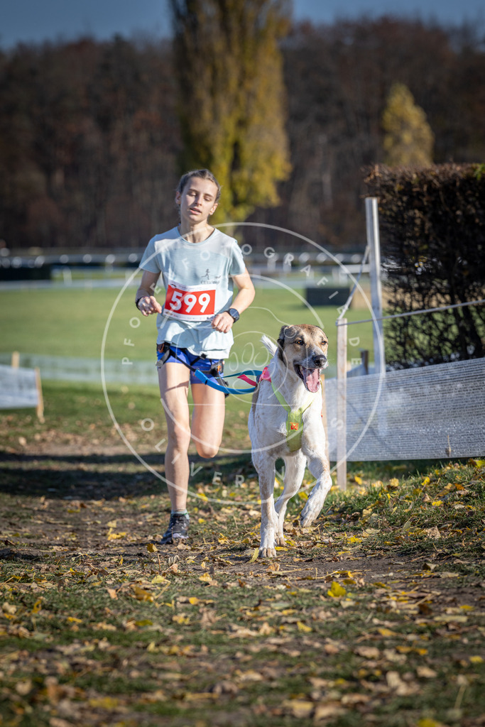 CaniXpix_DV3A9444 | Hundefotografie, Tierfotograf, Pfotenfotografie, Fotoshooting Hund, Hunde Portrait, Hundesport, Hundeportraits, Heideshooting, Hunde, Sportfotograf, Hundefotograf, Turnierhundsport, THS,  - Realisiert mit Pictrs.com