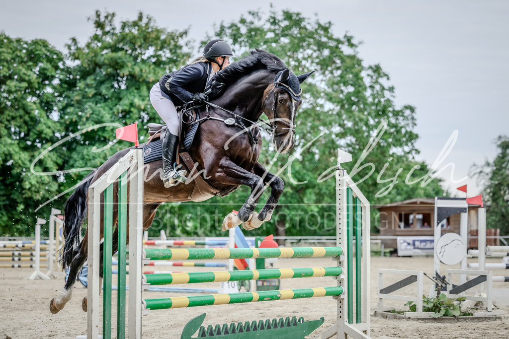 20250706-_3LI3401 | Tierfotografie Pferde, Hunde, Katzen, Haustiere.
Turnierfotografie Reitturniere, Reiten, Springreiten, Dressur in Hanau, dem Main-Kinzig-Kreis und dem Rhein-Main- Gebiet um Frankfurt