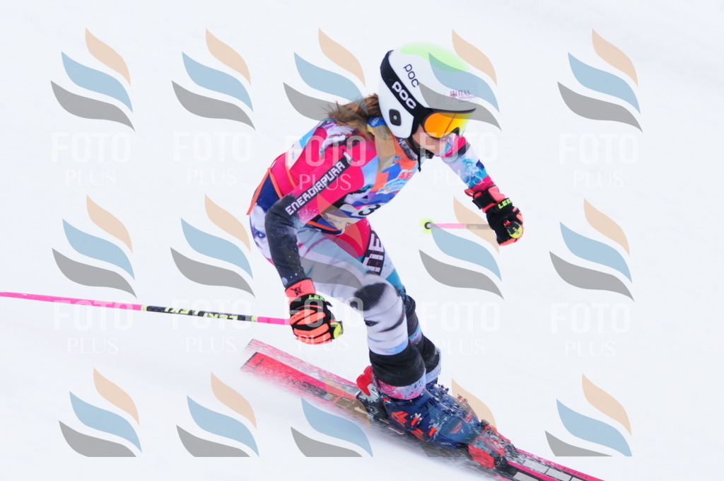 C3463 | holidayphoto