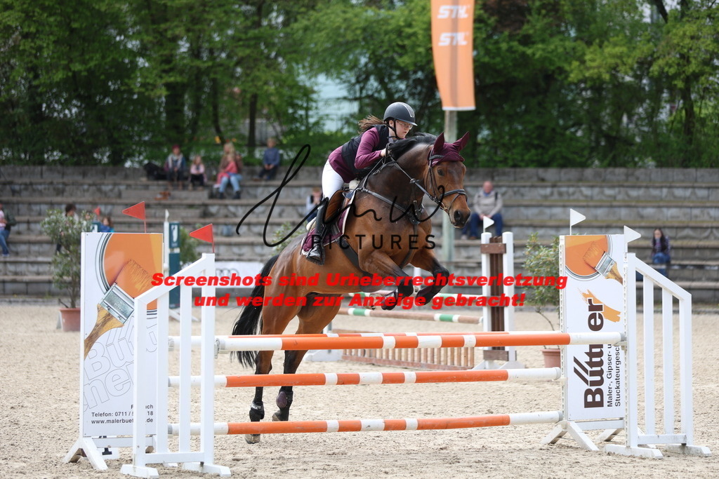 A40A2385 | lmwpictures - Realisiert mit Pictrs.com