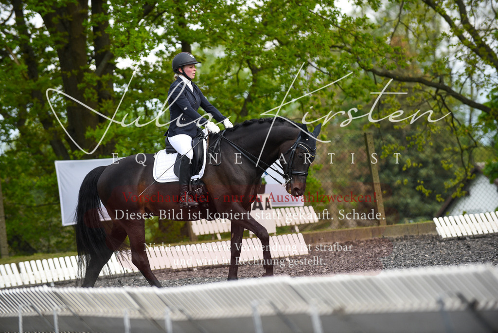 20230513_JK-Röhrsdorf-17-271 | Pferde- und Turnierfotografie in Westsachsen. Pferdeportraits, Auftragszeichnungen und intuitive Kunst.