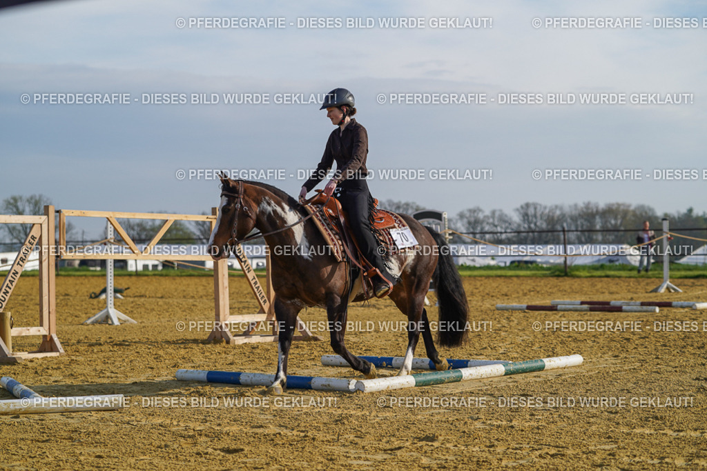 DSC00754 | Pferdegrafie