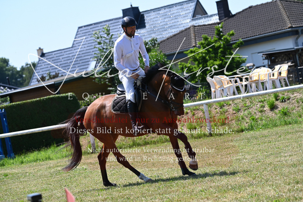 DSC_0596 | Pferde- und Turnierfotografie in Westsachsen. Pferdeportraits, Auftragszeichnungen und intuitive Kunst.