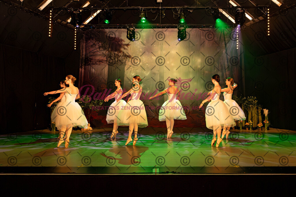 Ballettaufführung-208 | Bildershop Lem'n Entertainment - Realisiert mit Pictrs.com