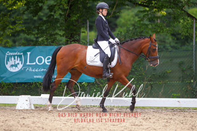 DKP42314 | Turniersportfotografie; Pferdefotografie; Dressurfotografie