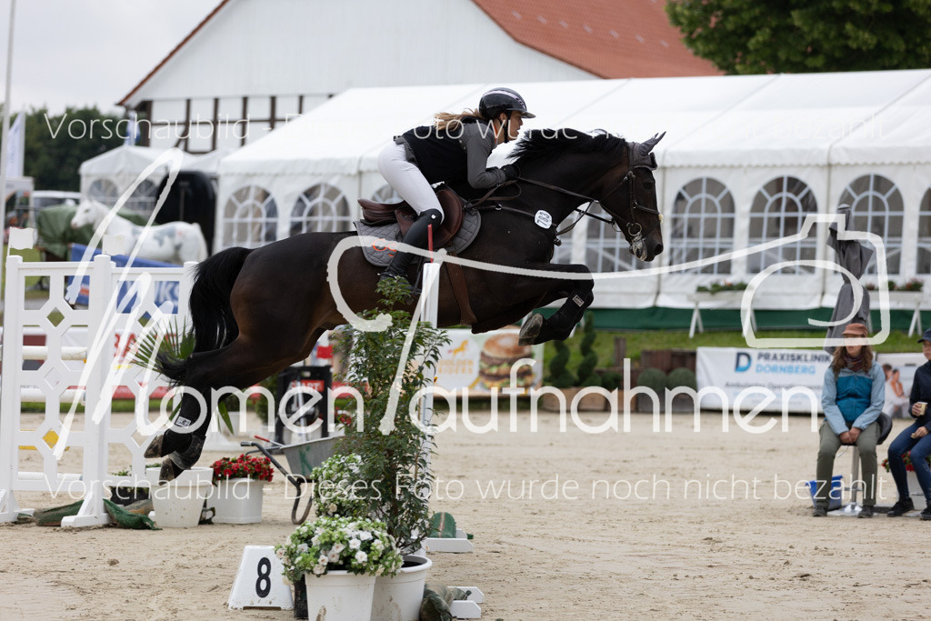 BHO-2PhSpr-M-021 | MomenTaufnahmen Pferdesportfotos