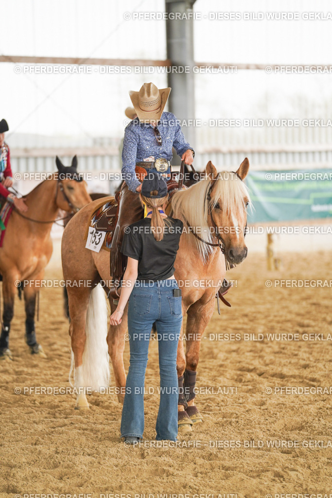 DSC06483 | Pferdegrafie