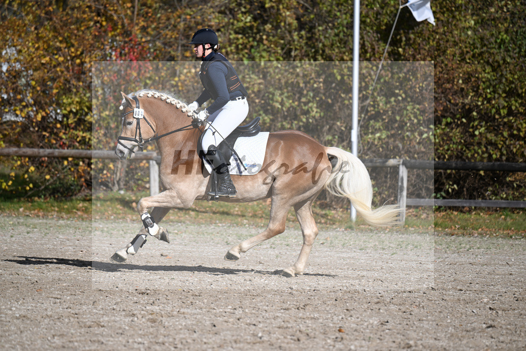 Kat-Nr. 4 Bonfire v. Bon Jovi_Freidhof-Debes_43250595 | hf-fotografie - Realizzato con Pictrs.com