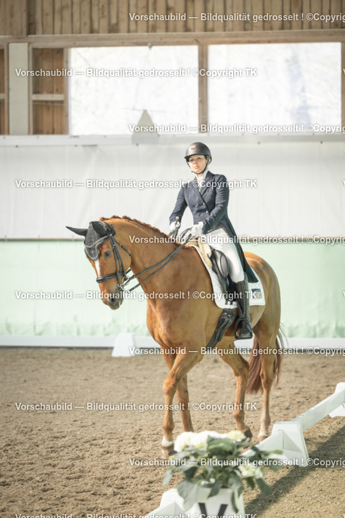 _D5A1421 | Emotionale Pferde- & People-Fotografie rund um Heidelberg, Leimen & Umgebung. Natürliche Fotos von Pferd, Mensch & Familie. Jetzt Termin sichern!