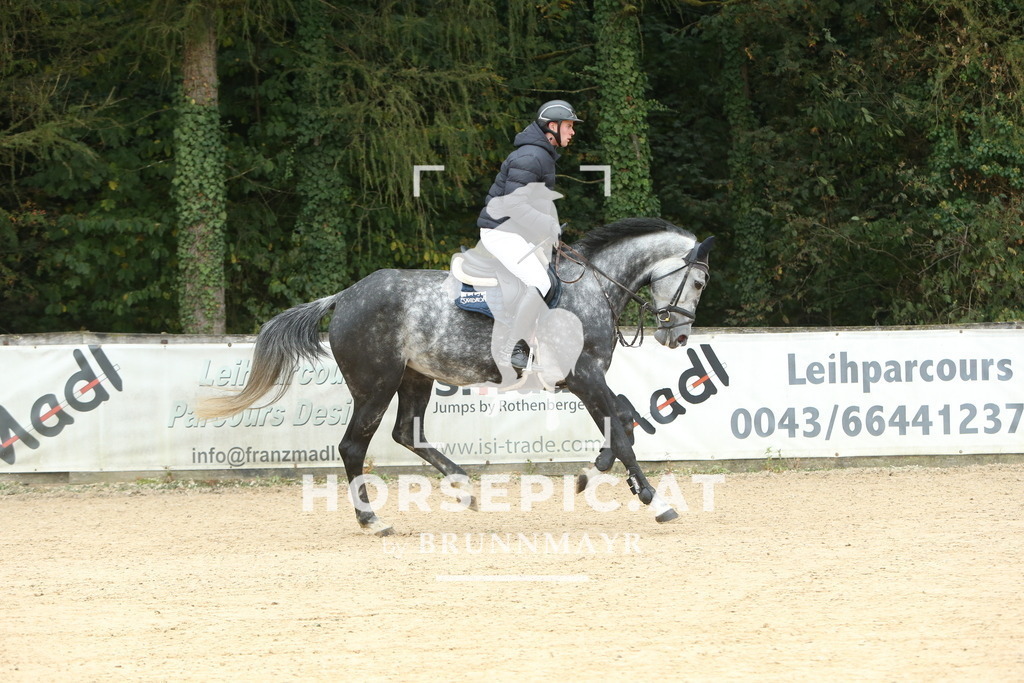 DL2Q5178 | Willkommen bei Brunnmayr - Design & Fotografie – Ihrem Spezialisten für Reitturniere und Pferdeveranstaltungen in Oberösterreich, Salzburg und Bayern! Seit über 17 Jahren sind wir leidenschaftlich dabei.