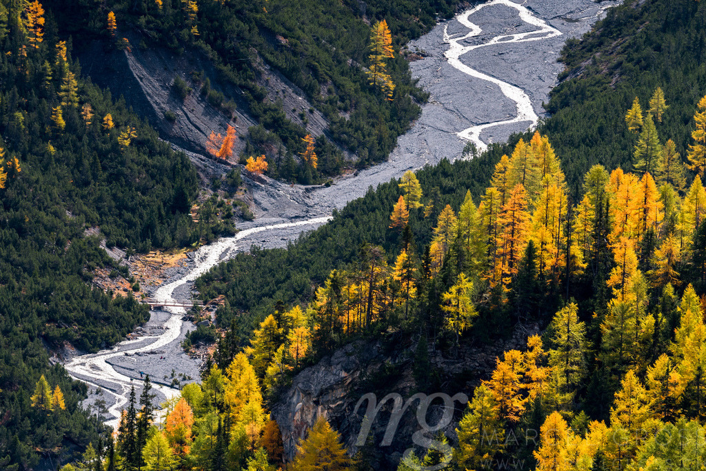wild, untamed river and larches in Val Cluozza in Swiss National Park | Die ideale Geschenkidee für Naturliebhaber. Naturbilder von Marcel Gross Photography für ihr Zuhause in den verschiedensten Formaten und Materialien. - Realisiert mit Pictrs.com