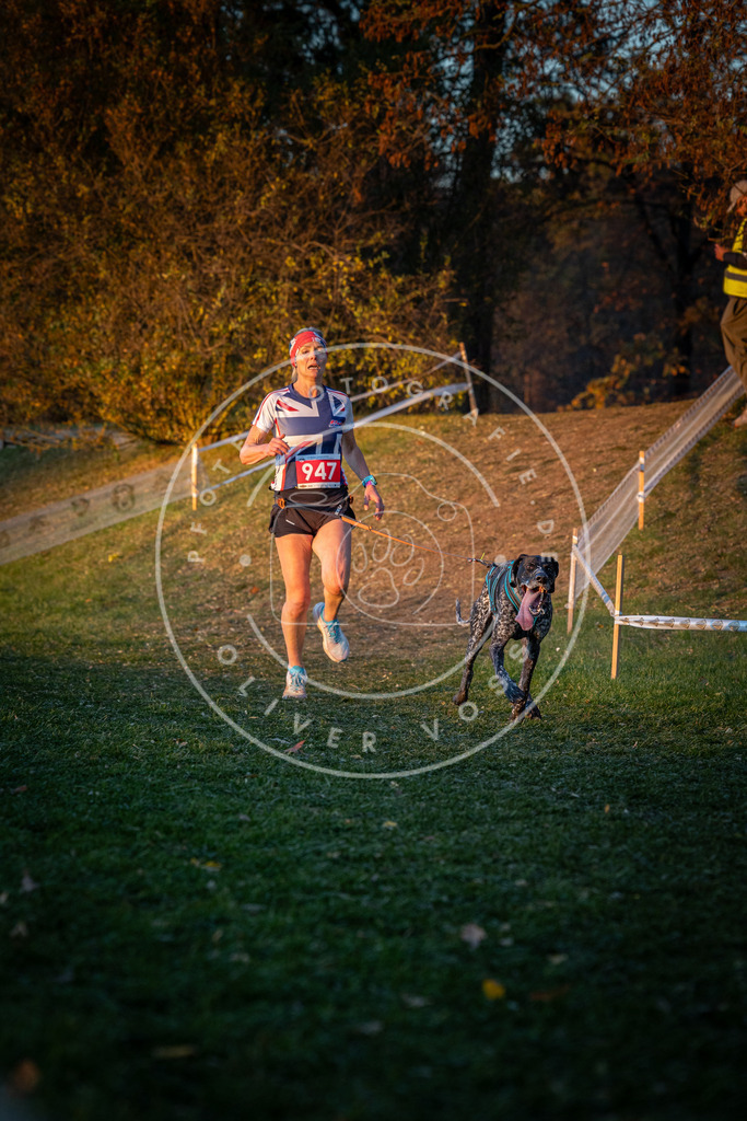 CaniXpix_0L8A1990 | Hundefotografie, Tierfotograf, Pfotenfotografie, Fotoshooting Hund, Hunde Portrait, Hundesport, Hundeportraits, Heideshooting, Hunde, Sportfotograf, Hundefotograf, Turnierhundsport, THS,  - Realisiert mit Pictrs.com
