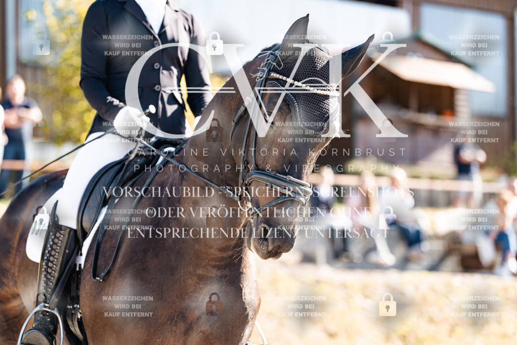 CK905831 | Turnierfotografie Pferdefotografie Trier Rheinland-Pfalz Pferdesport Reitsport Tierfotografie Sportfotografie Pferdevideo Pferdevideografie Equestrianvideography equestrianphotography  - Realisiert mit Pictrs.com