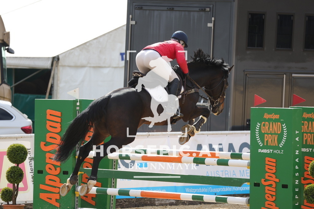 0P6A6691 | Willkommen bei Brunnmayr - Design & Fotografie – Ihrem Spezialisten für Reitturniere und Pferdeveranstaltungen in Oberösterreich, Salzburg und Bayern! Seit über 17 Jahren sind wir leidenschaftlich dabei.