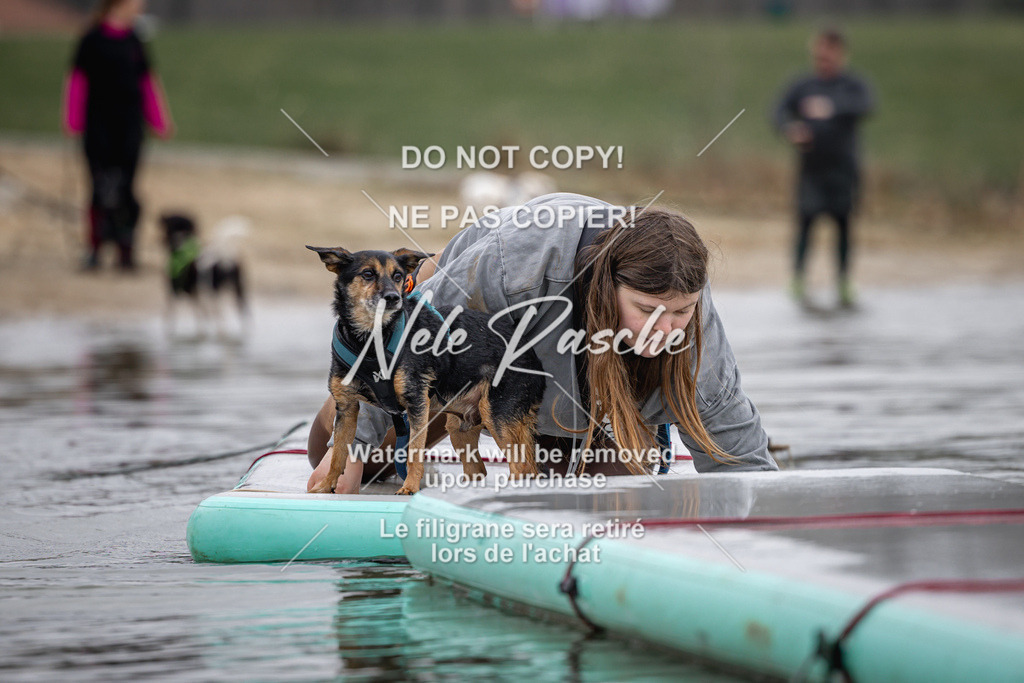 nelerasche_Hulsbeek_Sa1230-1330_291 | nelerasche