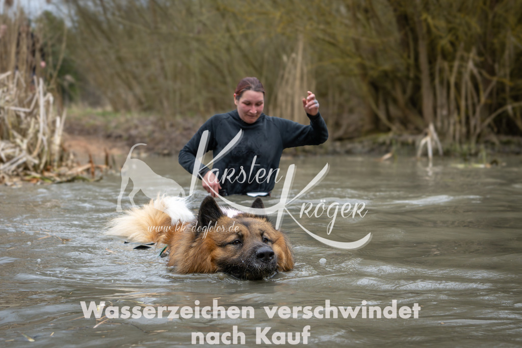 1404_ZZ96348 | kk-dogfotos