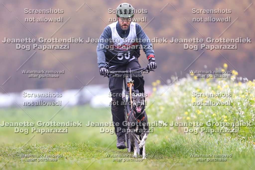 Dog Paparazzi - Visbeck 25 -148 | Dog Paparazzi Jeanette Grottendiek Fotografie & Videografie - Realisiert mit Pictrs.com