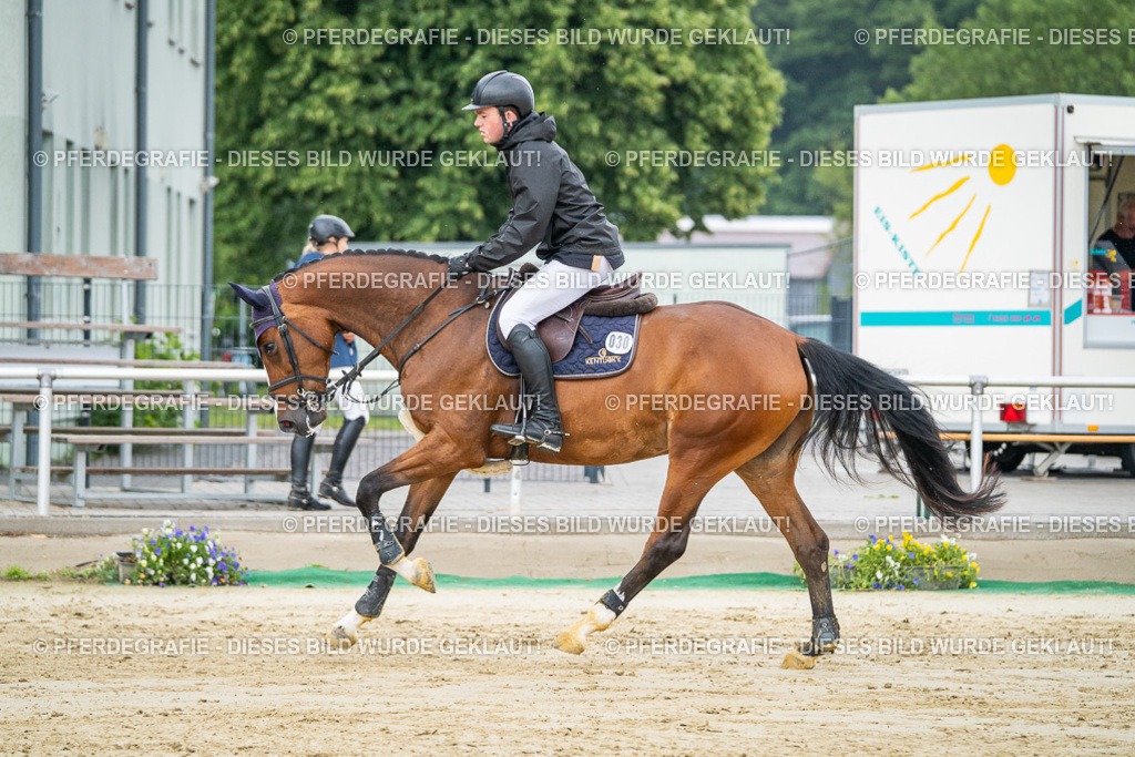 DSC02125 | Pferdegrafie