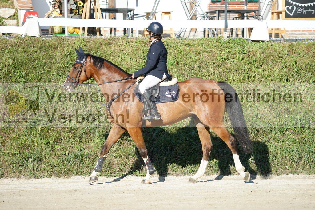 DSC02204 | equestrian-live-com