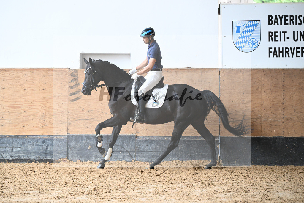 Kat-Nr. 3 Gini v. Millennium_Stadelmann_31250135 | hf-fotografie - Realizzato con Pictrs.com