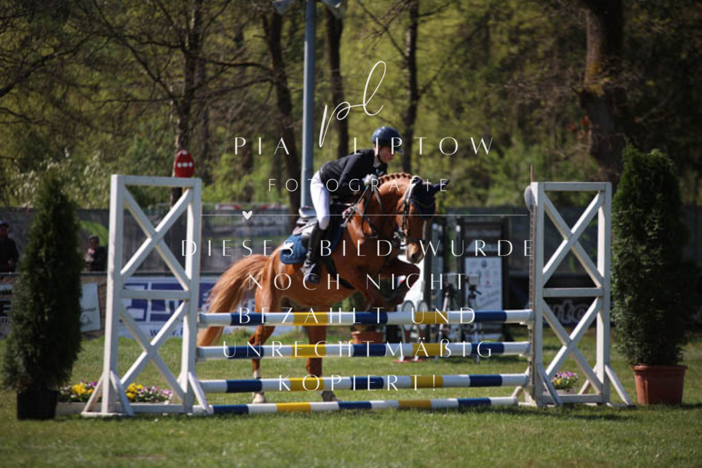 IMGT5647 | pl-fotografie