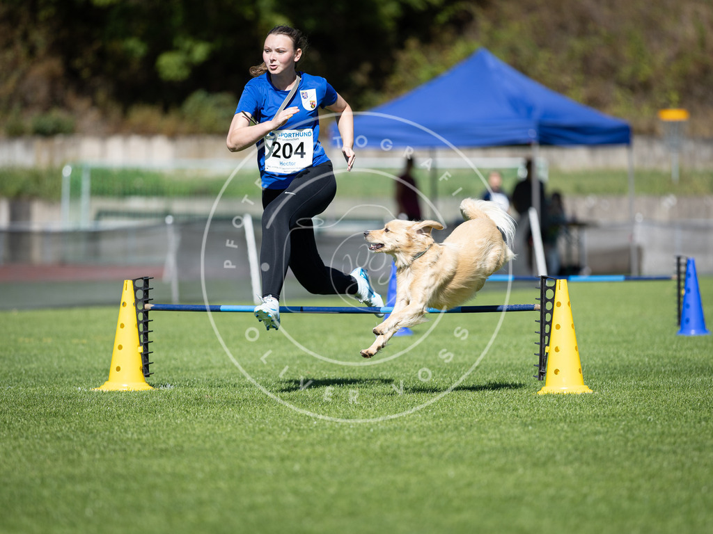 Pfotenfotografie_DV3A5067 | Hundefotografie, Tierfotograf, Pfotenfotografie, Fotoshooting Hund, Hunde Portrait, Hundesport, Hundeportraits, Heideshooting, Hunde, Sportfotograf, Hundefotograf, Turnierhundsport, THS,  - Realisiert mit Pictrs.com