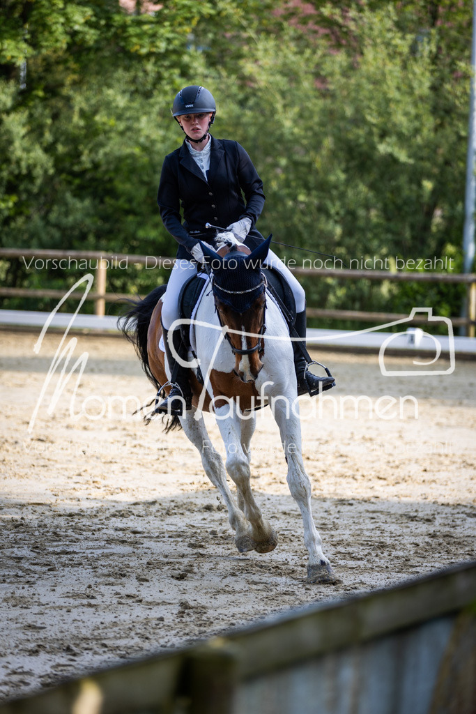 Donop24-A-Dre-048 | MomenTaufnahmen Pferdesportfotos