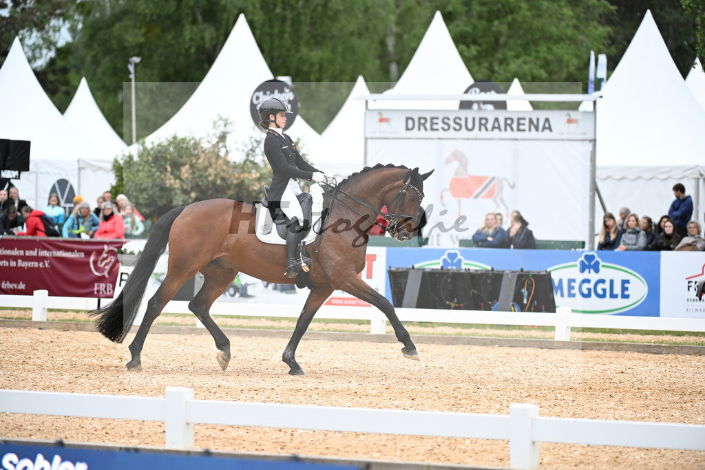 Sohler_Askehavens Beau Sancy_11251727 | hf-fotografie - Realisiert mit Pictrs.com