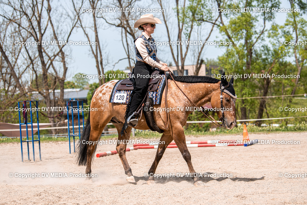 Balingen Tag 4-650 | dv-media-shop - Realisiert mit Pictrs.com