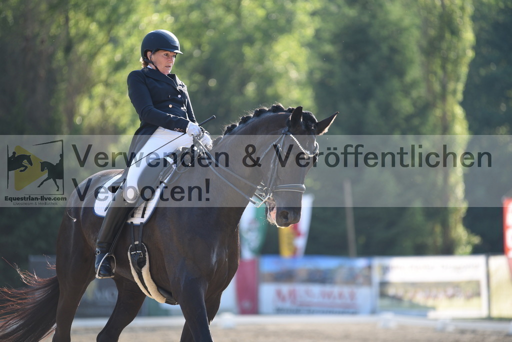 DSC_3265 | equestrian-live-com