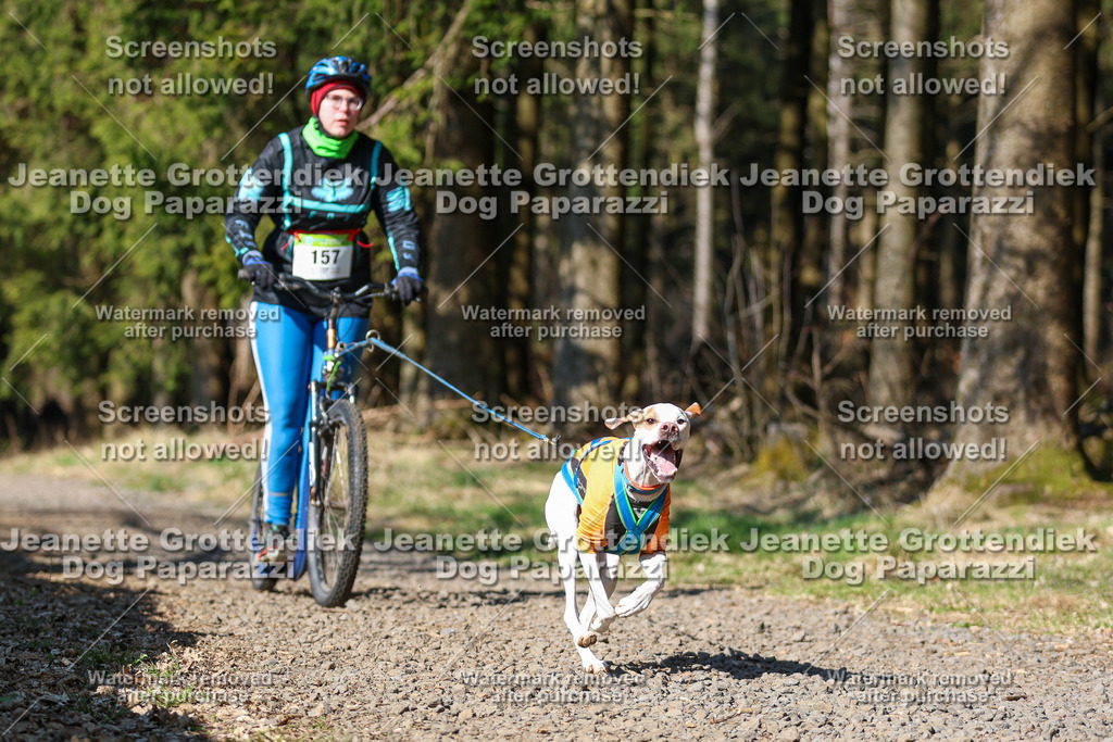 Dog Paparazzi - VCC26-124 | Dog Paparazzi Jeanette Grottendiek Fotografie & Videografie - Realisiert mit Pictrs.com