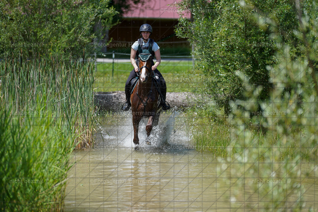 20240622-FAH07136 | Turnierfotografen Bayern, Reitsportbilder aus dem Geländekurs mit Felix Etzel auf dem Gut Waitzacker 2024
