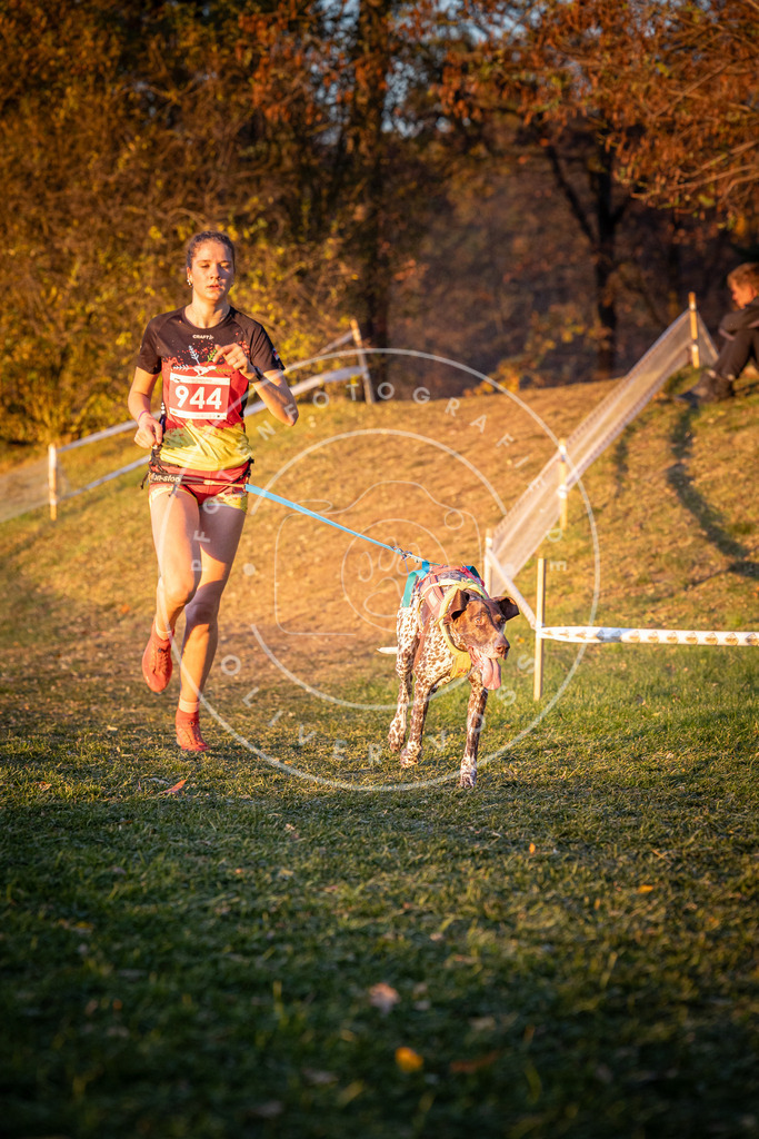 CaniXpix_0L8A1931 | Hundefotografie, Tierfotograf, Pfotenfotografie, Fotoshooting Hund, Hunde Portrait, Hundesport, Hundeportraits, Heideshooting, Hunde, Sportfotograf, Hundefotograf, Turnierhundsport, THS,  - Realisiert mit Pictrs.com