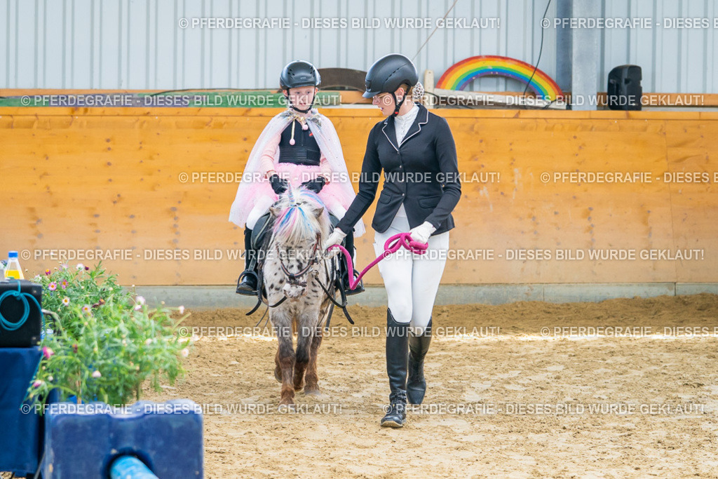 DSC00499 | Pferdegrafie