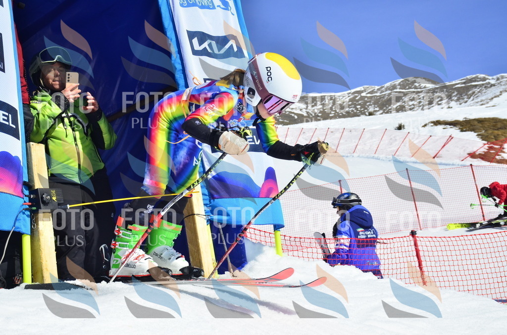 _ELE9888 | holidayphoto